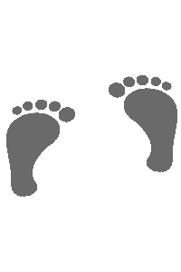 The basic Salsa step